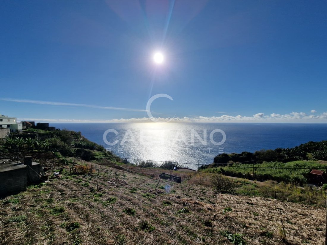Land in Ponta do Sol, Madeira, Portugal 4 - 17509427