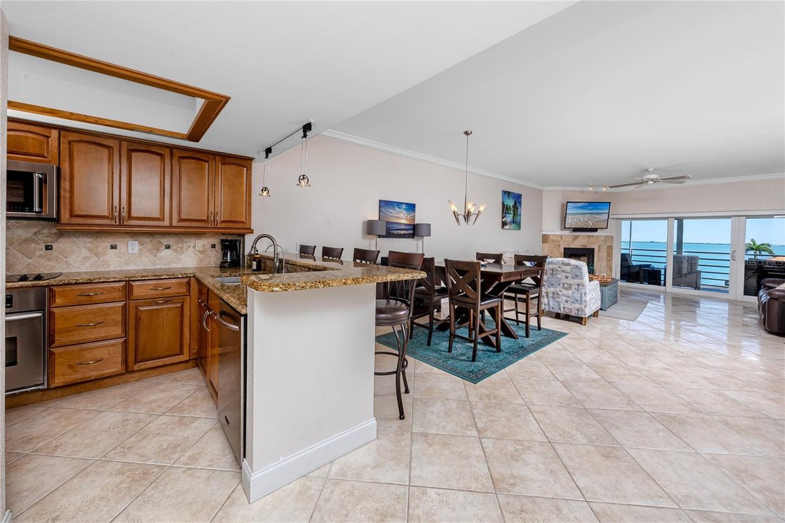 Condo in St. Petersburg, Florida, United States 5 - 17505118
