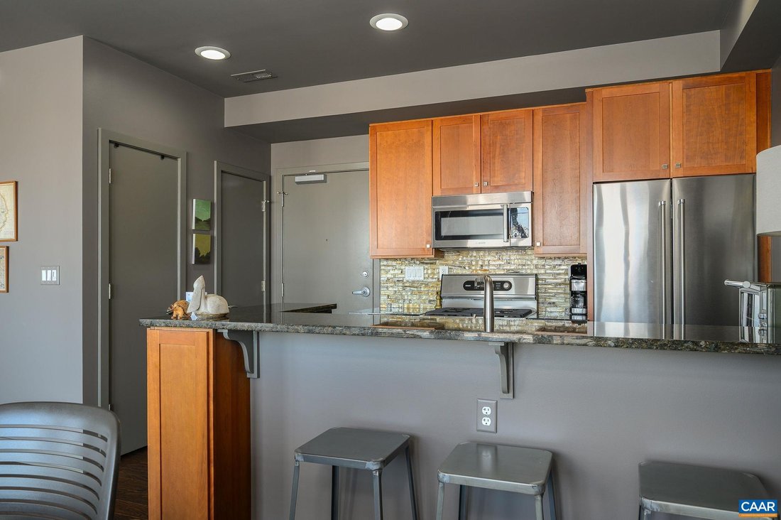 Condo in Charlottesville, Virginia, United States 5 - 17508603