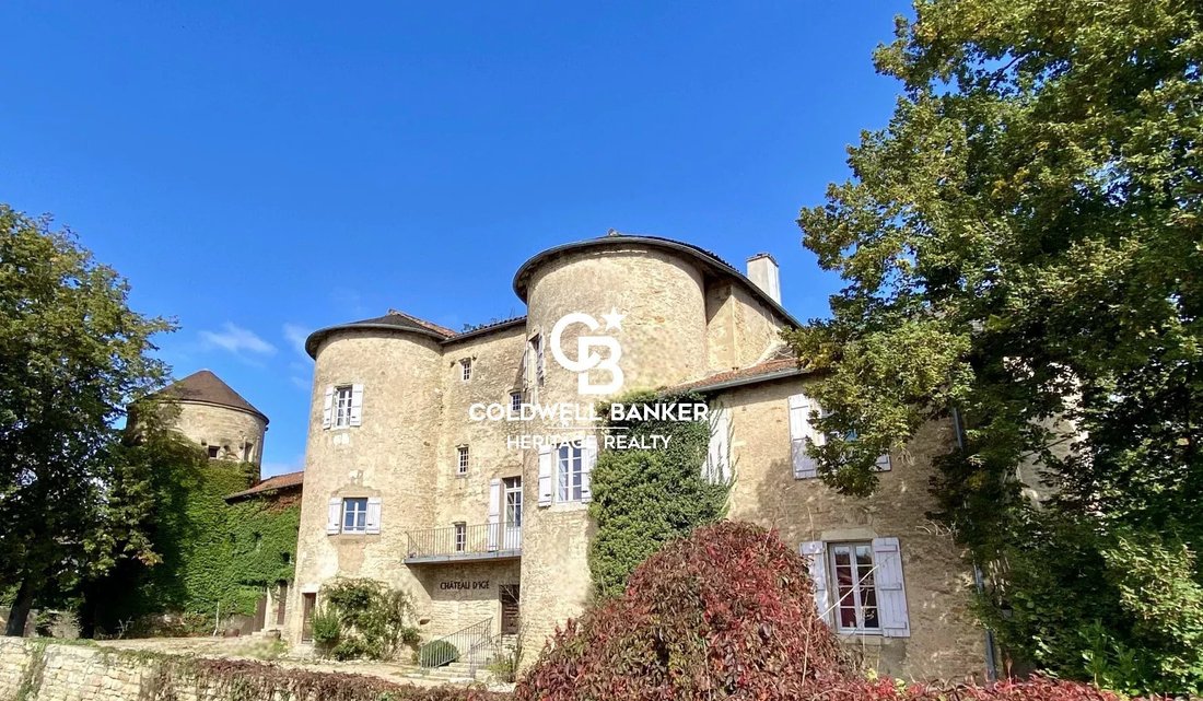 Castle in Igé, Bourgogne – Franche-Comté, France 1 - 17503089