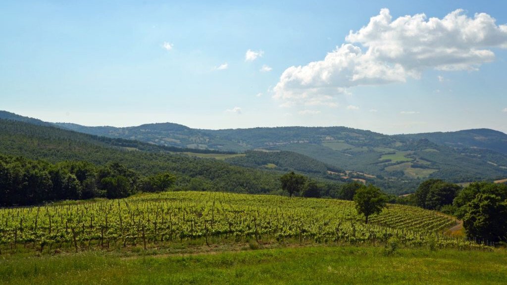 Country House in Scansano, Tuscany, Italy 2 - 17504333