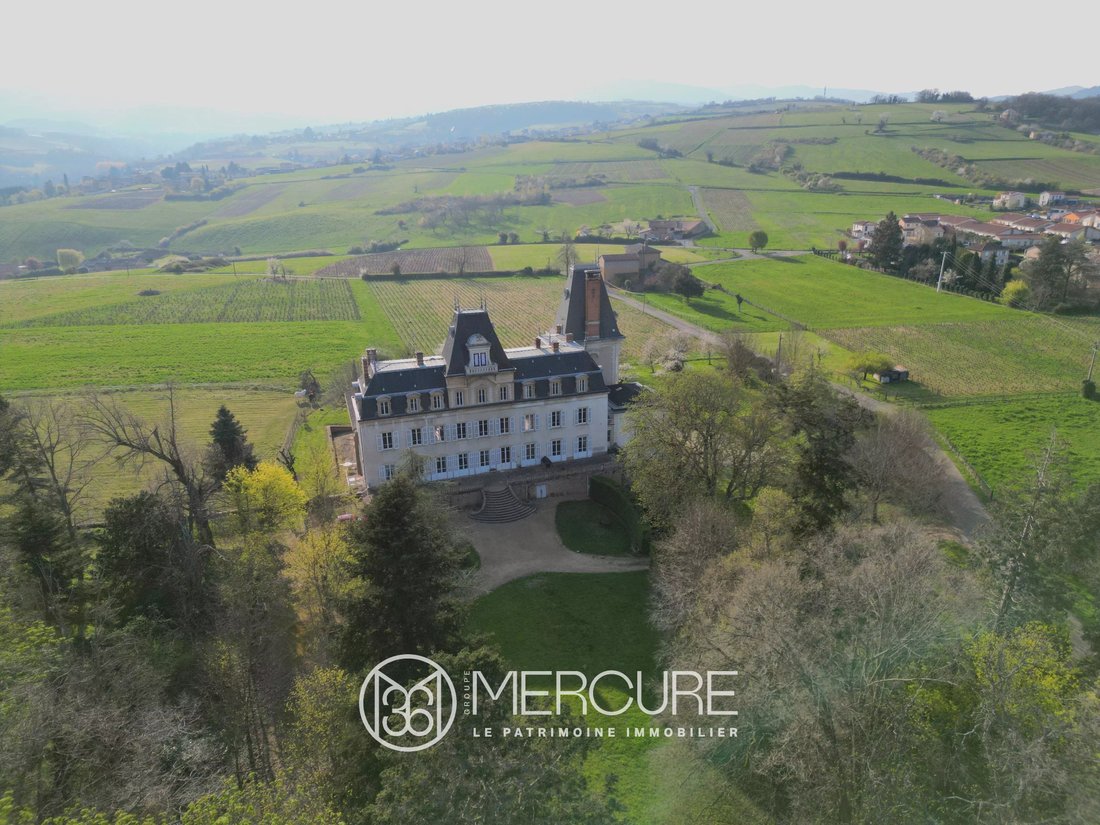 Castle in Villefranche-sur-Saone, Auvergne-Rhône-Alpes, France 1 - 16409827