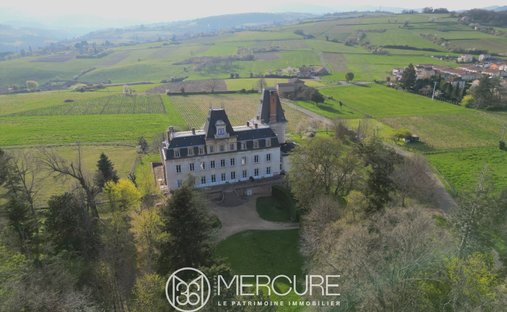Castle in Villefranche-sur-Saone, Auvergne-Rhône-Alpes, France 1