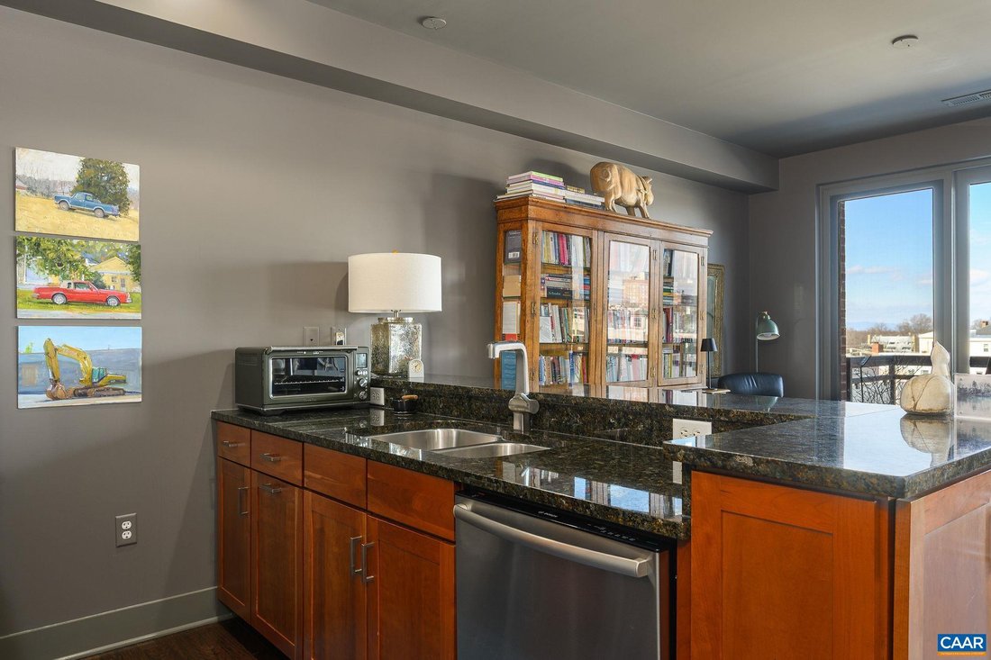 Condo in Charlottesville, Virginia, United States 4 - 17508603