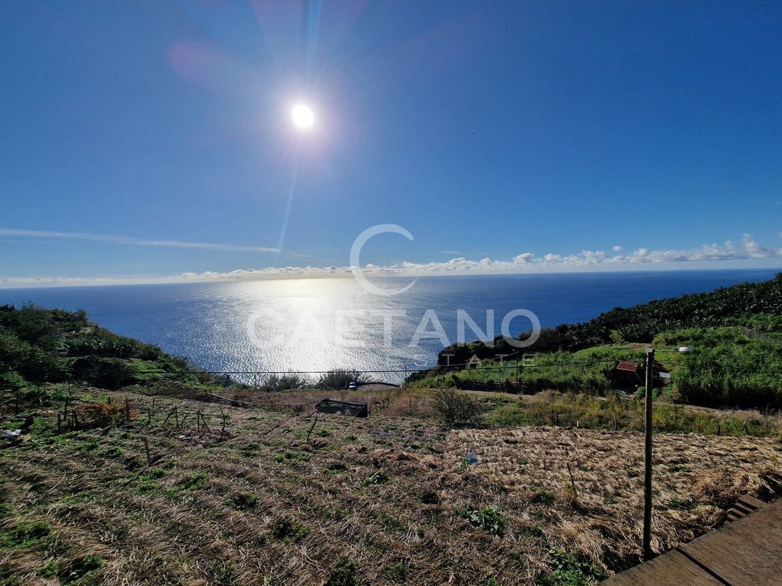Land in Ponta do Sol, Madeira, Portugal 5 - 17509427
