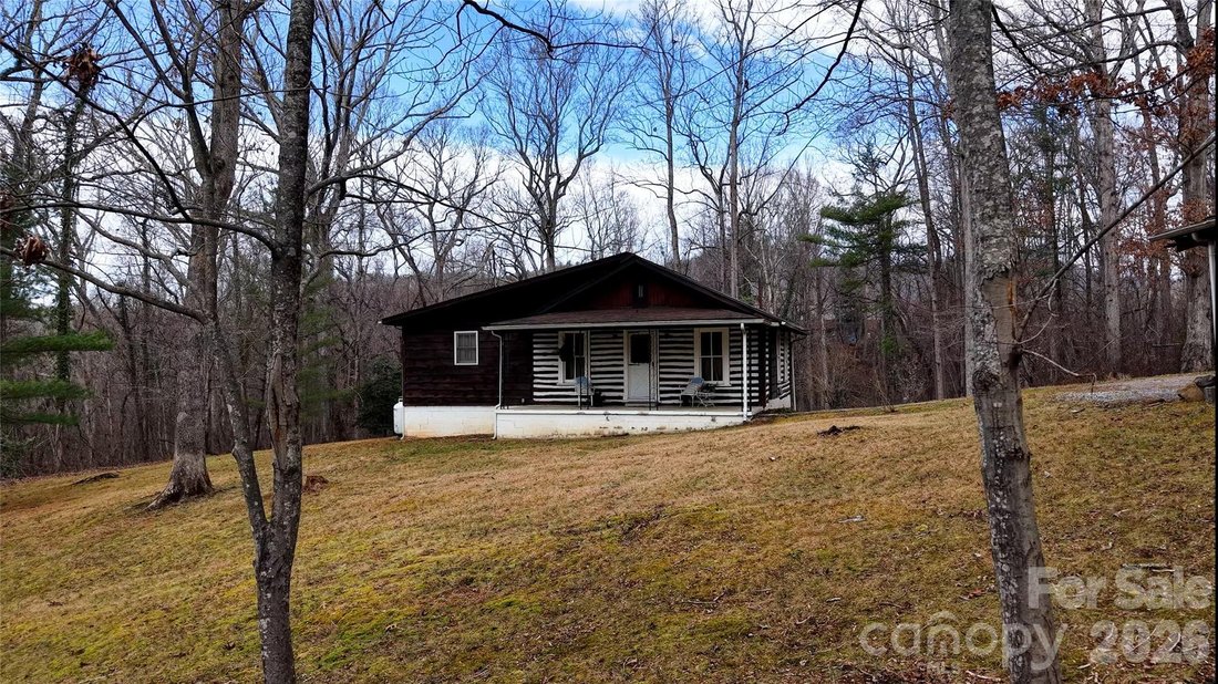 House in Asheville, North Carolina, United States 3 - 16853096