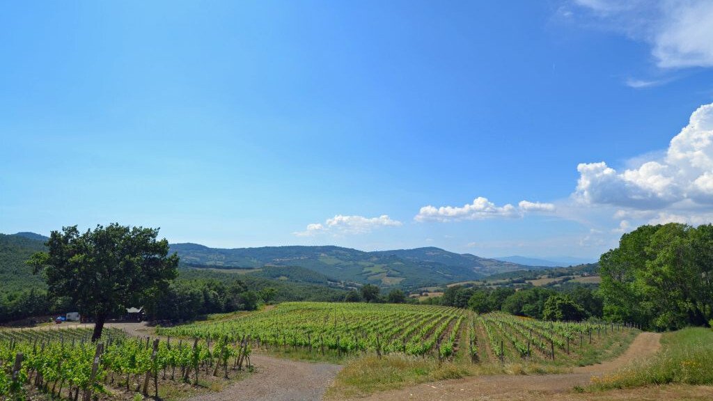 Country House in Scansano, Tuscany, Italy 1 - 17504333