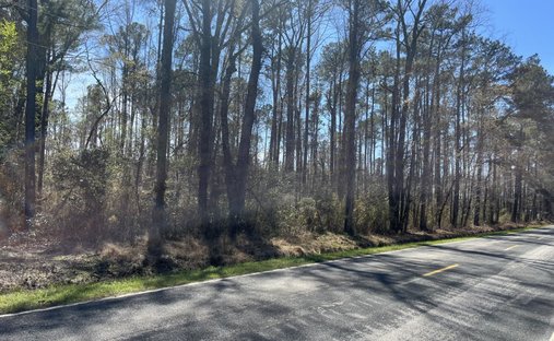 Land in Bennettsville, South Carolina, United States 1