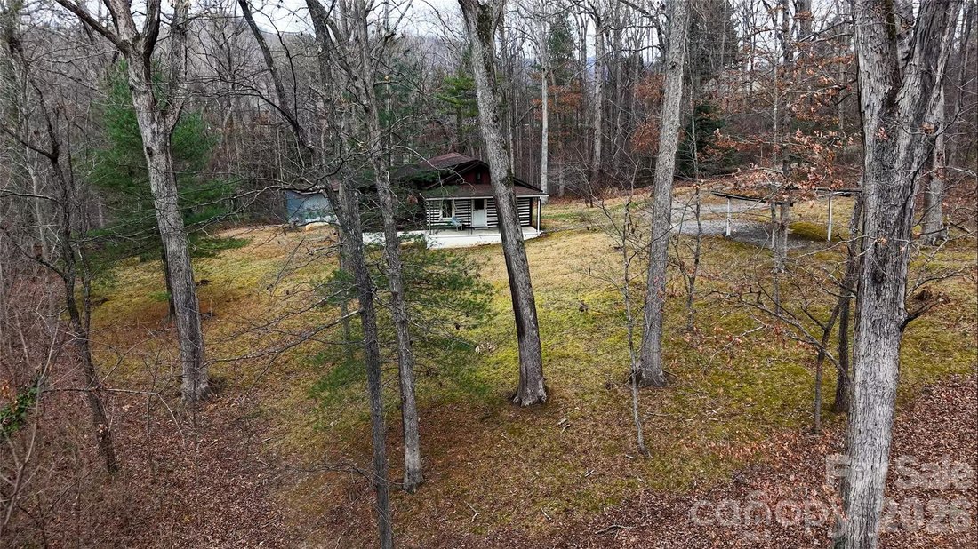 House in Asheville, North Carolina, United States 1 - 16853096