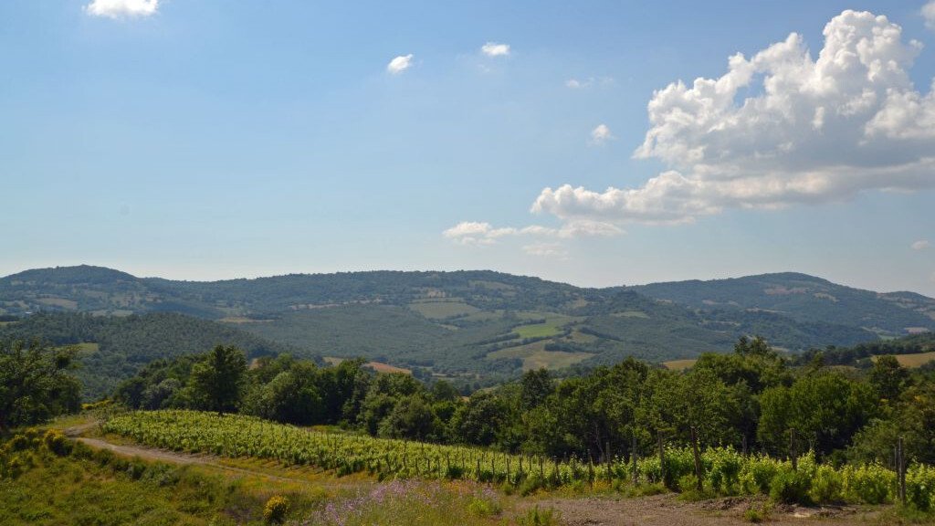 Country House in Scansano, Tuscany, Italy 3 - 17504333