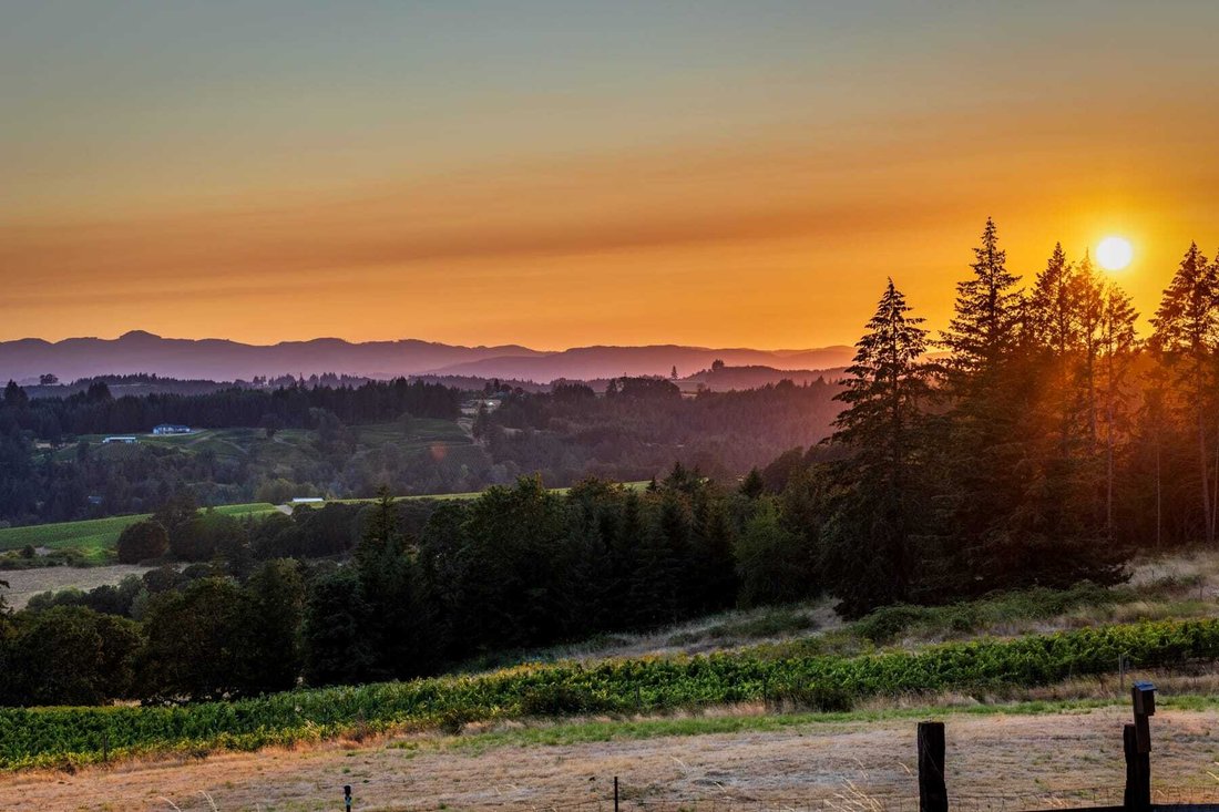 House in Newberg, Oregon, United States 4 - 17503708