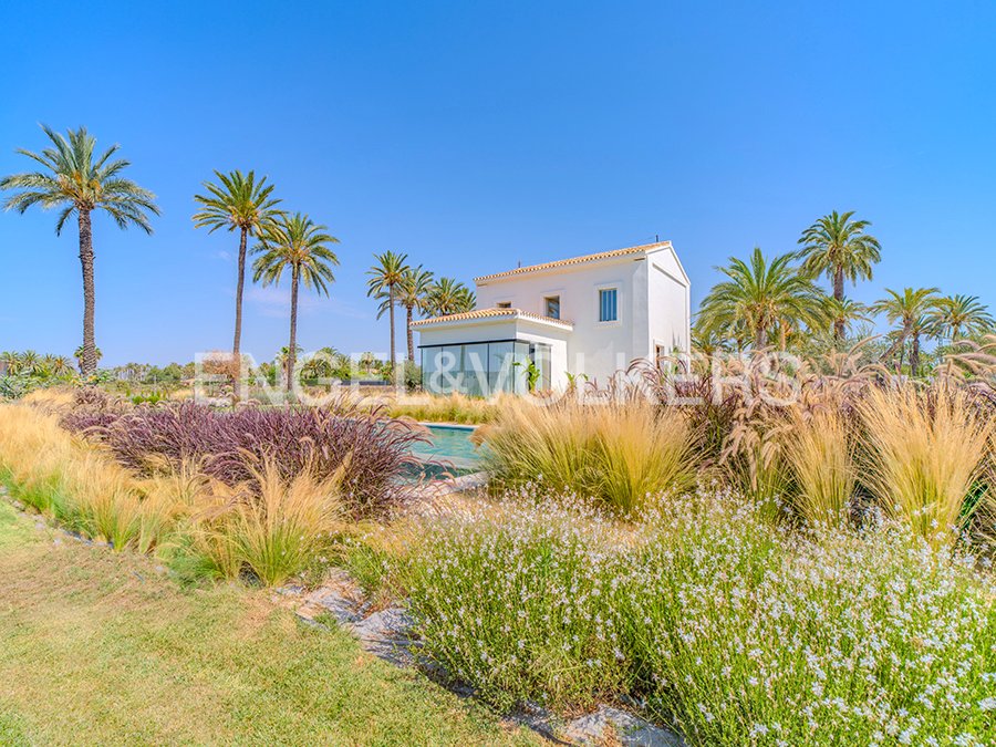 Villa in Elx / Elche, Valencian Community, Spain 3 - 17509448