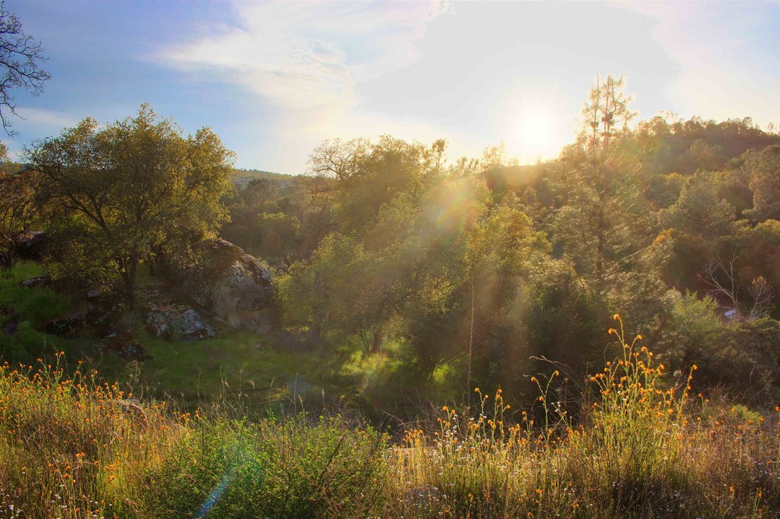 Land in Coarsegold, California, United States 1 - 17463168
