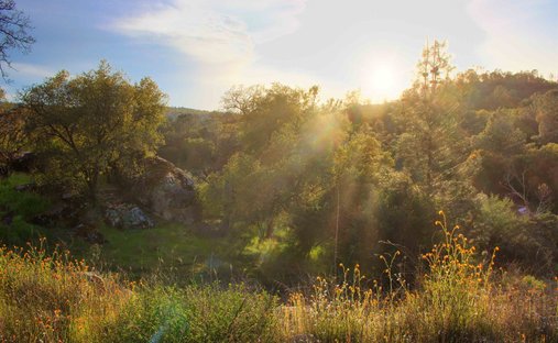 Land in Coarsegold, California, United States 1