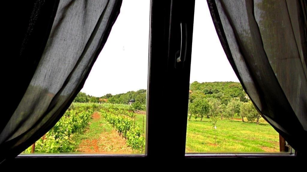 Villa in Rovinj, Istria County, Croatia 2 - 17512636