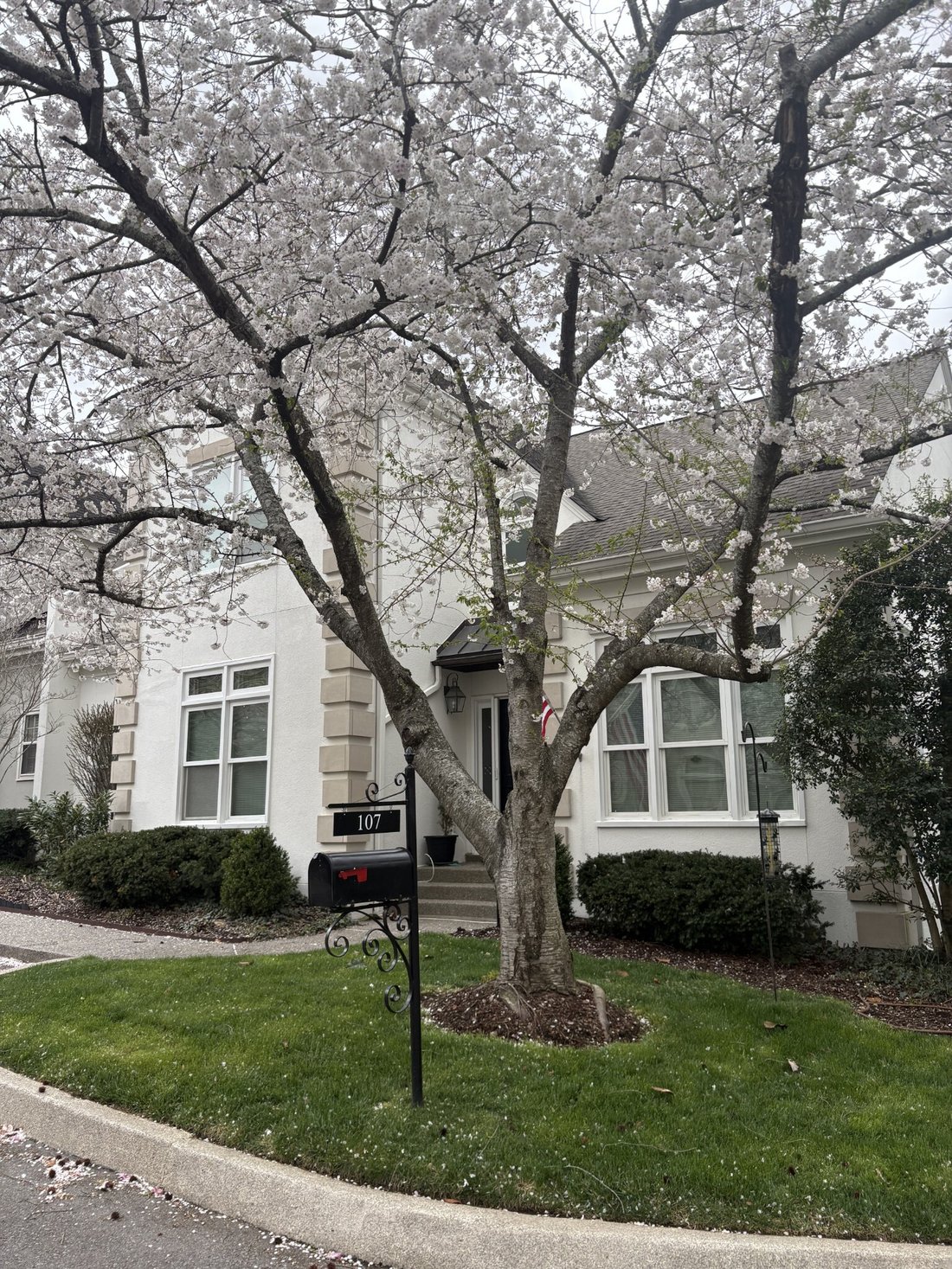 House in Nashville, Tennessee, United States 3 - 17510589