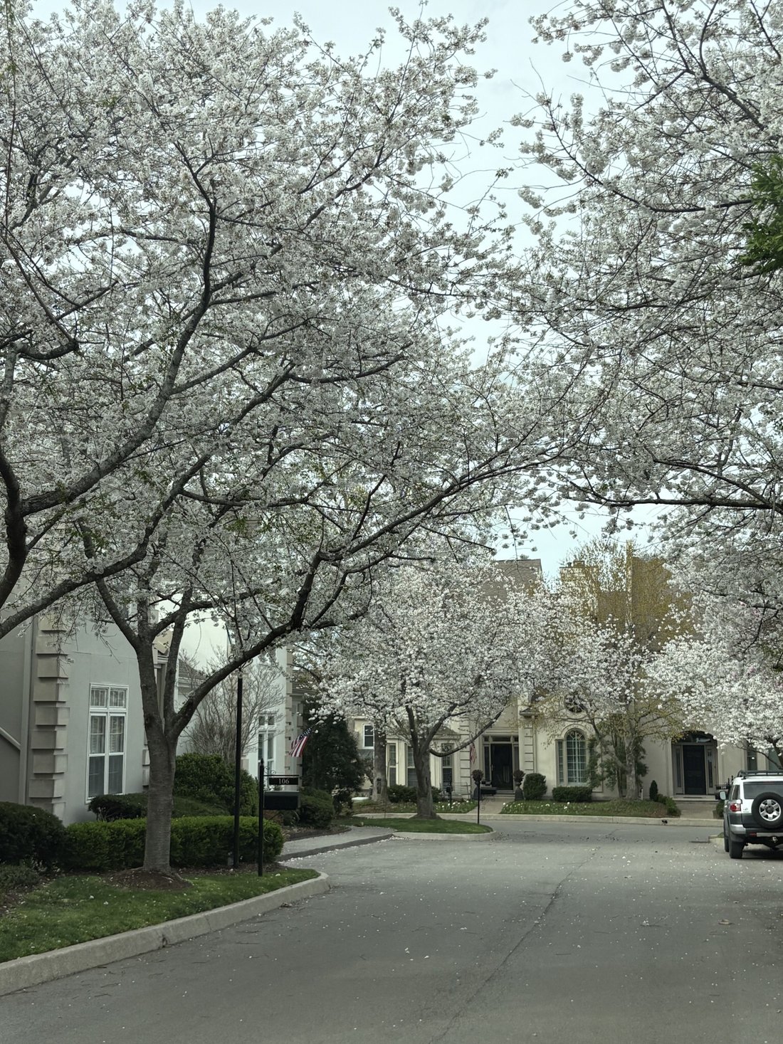 House in Nashville, Tennessee, United States 2 - 17510589