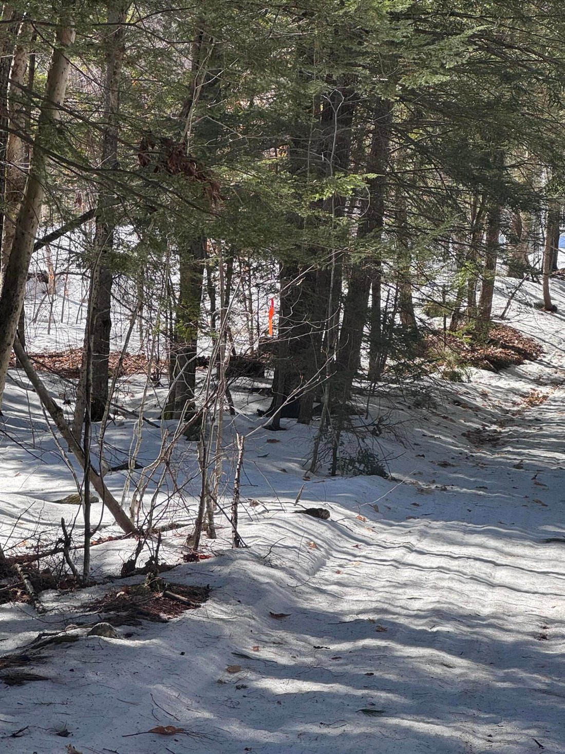 Land in Windham, Maine, United States 2 - 17516414