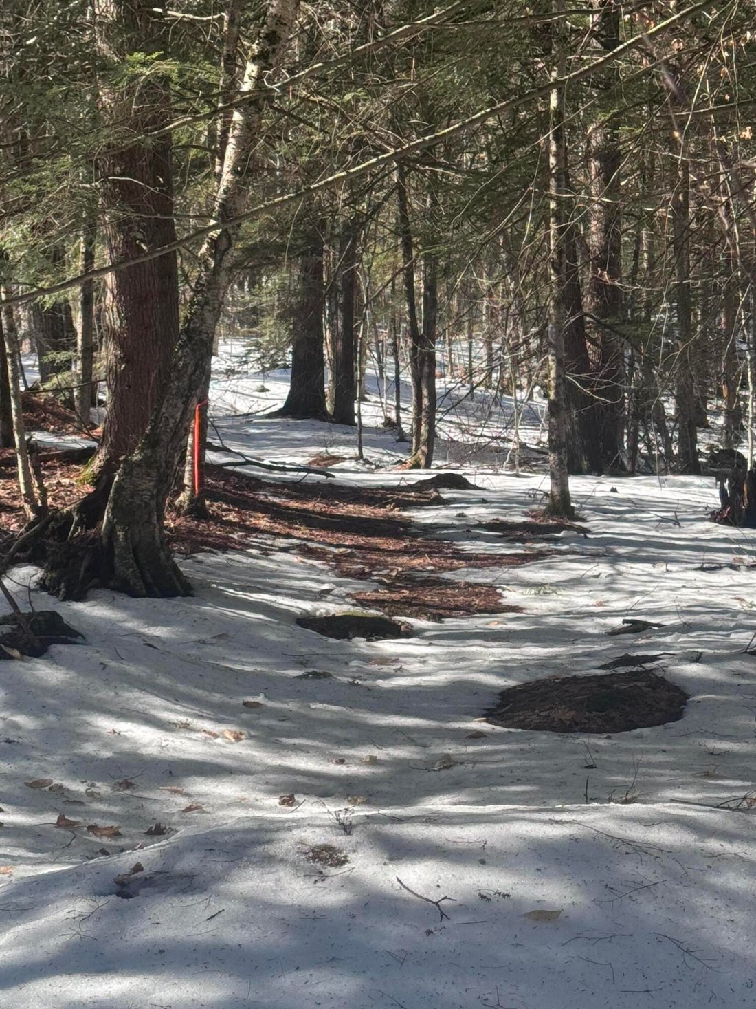 Land in Windham, Maine, United States 1 - 17516414