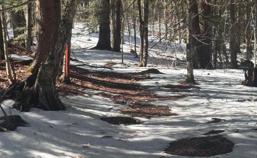 Land in Windham, Maine, United States 1
