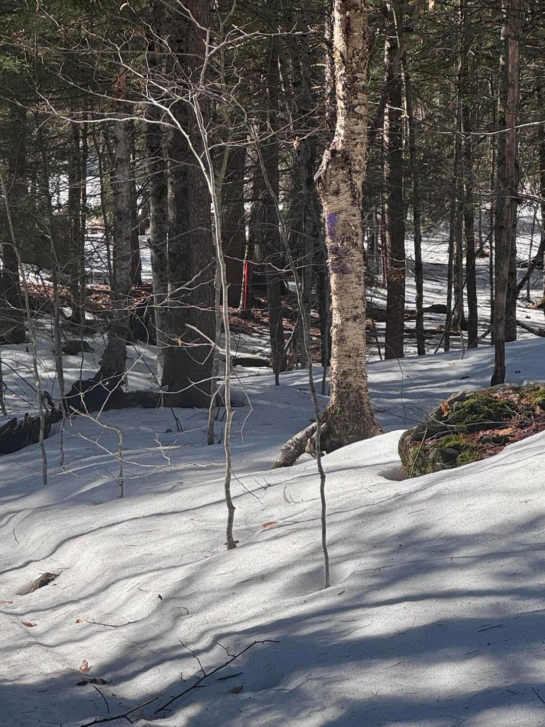 Land in Windham, Maine, United States 3 - 17516414