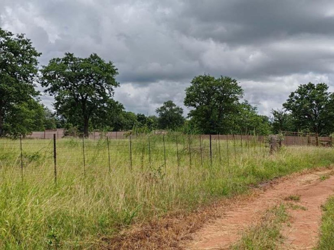 Farm Ranch in Johannesburg, Gauteng, South Africa 4 - 17516411