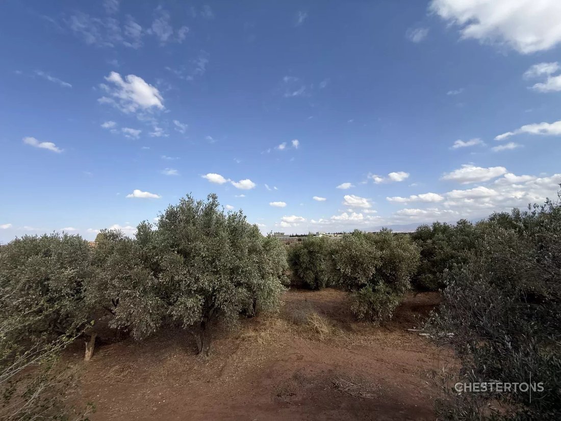 Land in Jdid, Marrakesh-Safi, Morocco 1 - 17516662