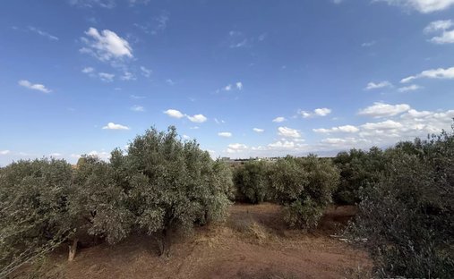 Land in Jdid, Marrakesh-Safi, Morocco 1