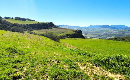 Azienda agricola a Torre Alháquime, Andalusia, Spagna 1