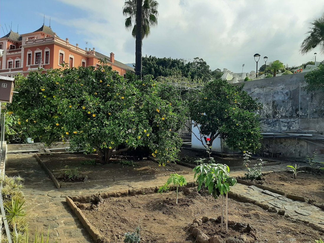 Townhouse in La Orotava, Canary Islands, Spain 4 - 17517304