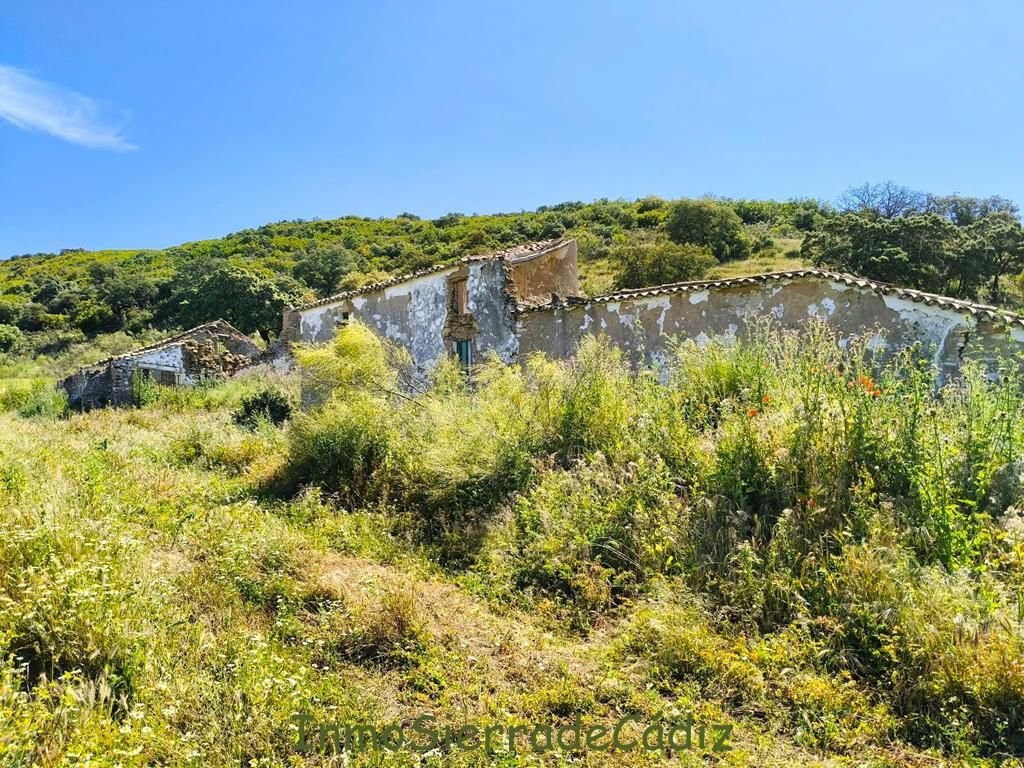 Corps de ferme à Torre Alháquime, Andalousie, Espagne 4 - 17517242