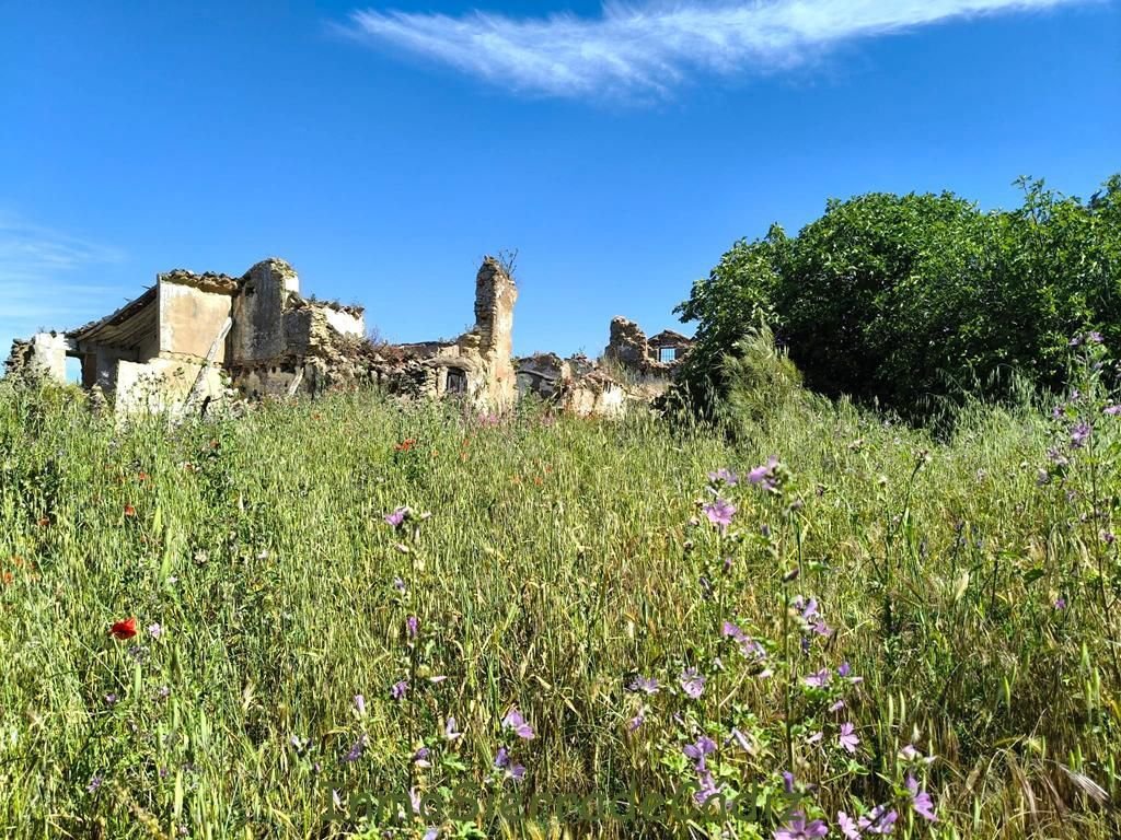 Corps de ferme à Torre Alháquime, Andalousie, Espagne 5 - 17517242