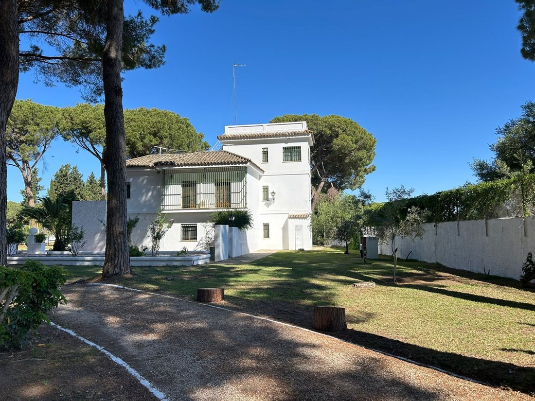 Farm Ranch in Arcos de la Frontera, Andalusia, Spain 1 - 17517206