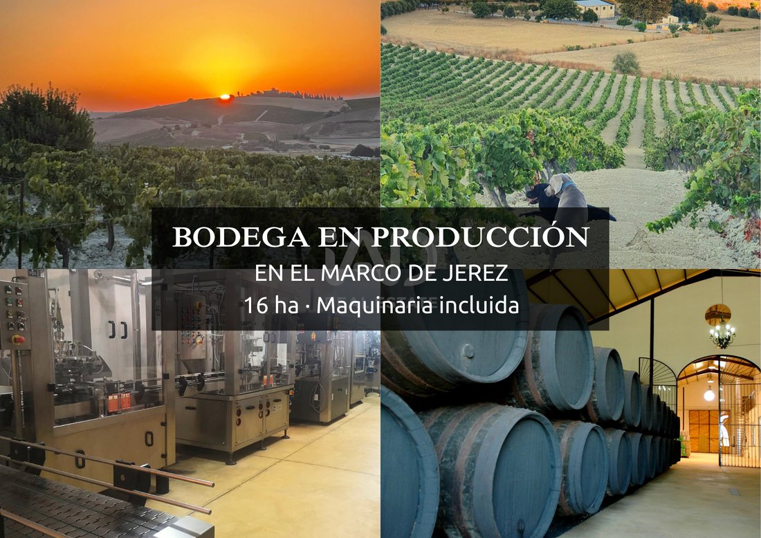 Jerez De La Frontera, Andalusia, Spain 1 - 17517403