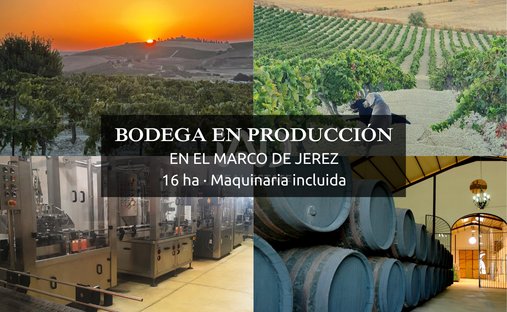 Jerez de la Frontera, Andalucía, España 1