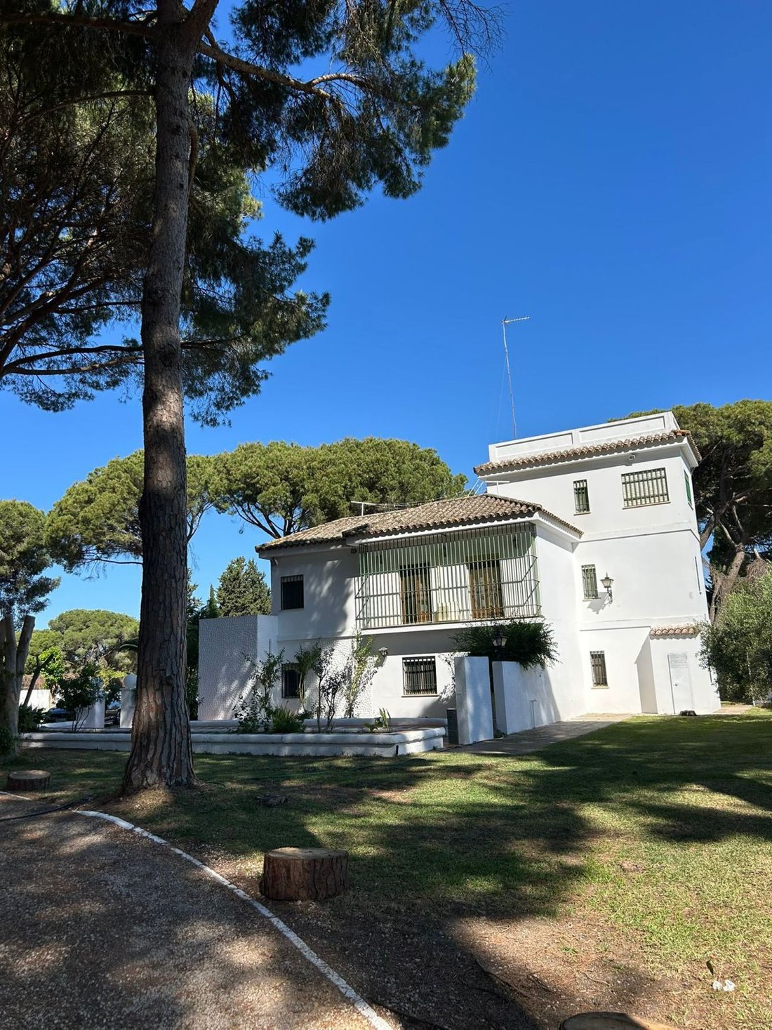 Farm Ranch in Arcos de la Frontera, Andalusia, Spain 3 - 17517206