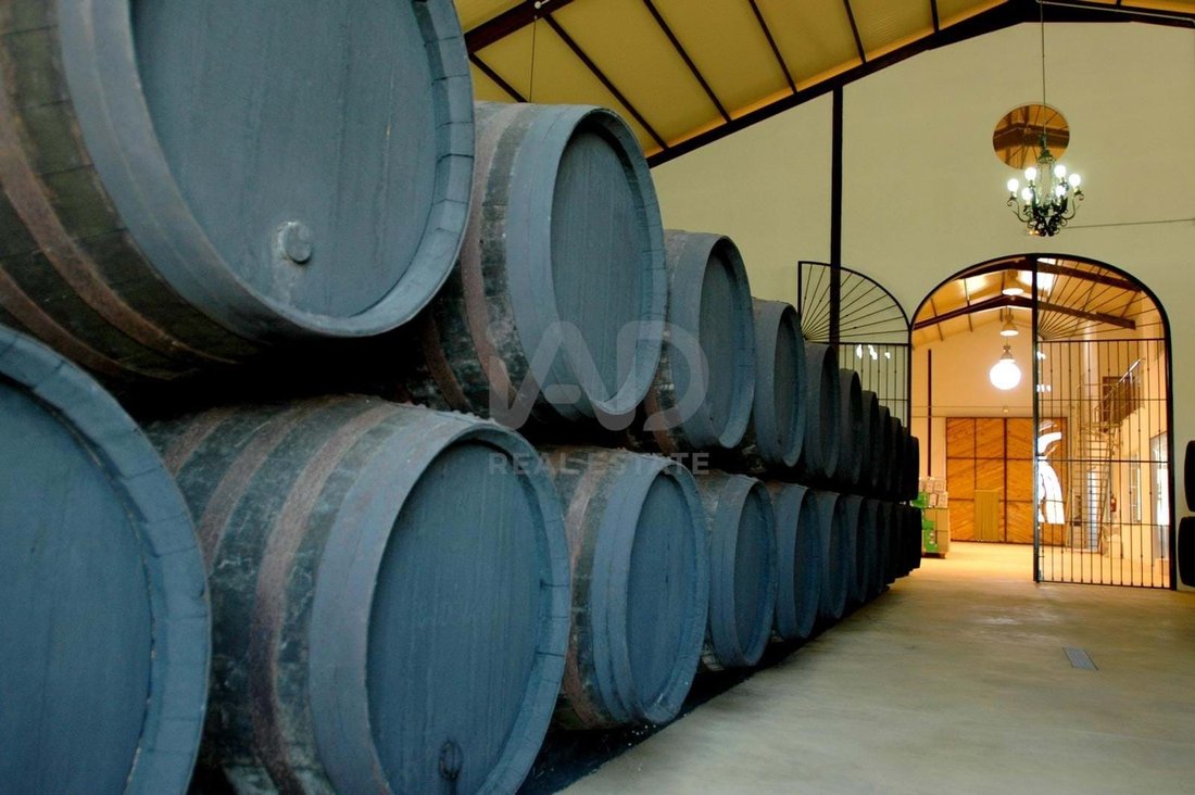 Jerez De La Frontera, Andalusia, Spain 5 - 17517403
