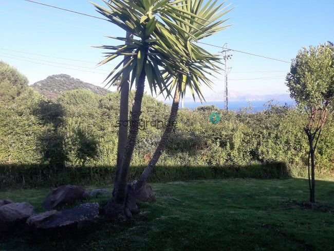 Chalet in Tarifa, Andalusia, Spain 5 - 17517214