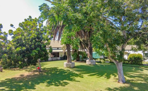 Azienda agricola a Langebaan, Capo Occidentale, Sudafrica 1