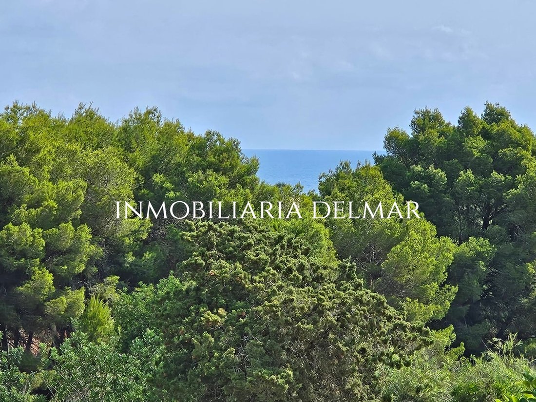 Villa in Sant Carles de Peralta, Santa Eularia des Riu, Balearic Islands 3 - 17518039