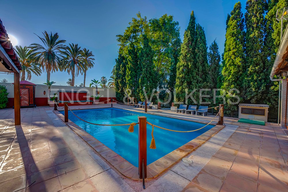 Villa in Elx / Elche, Valencian Community, Spain 3 - 17518744