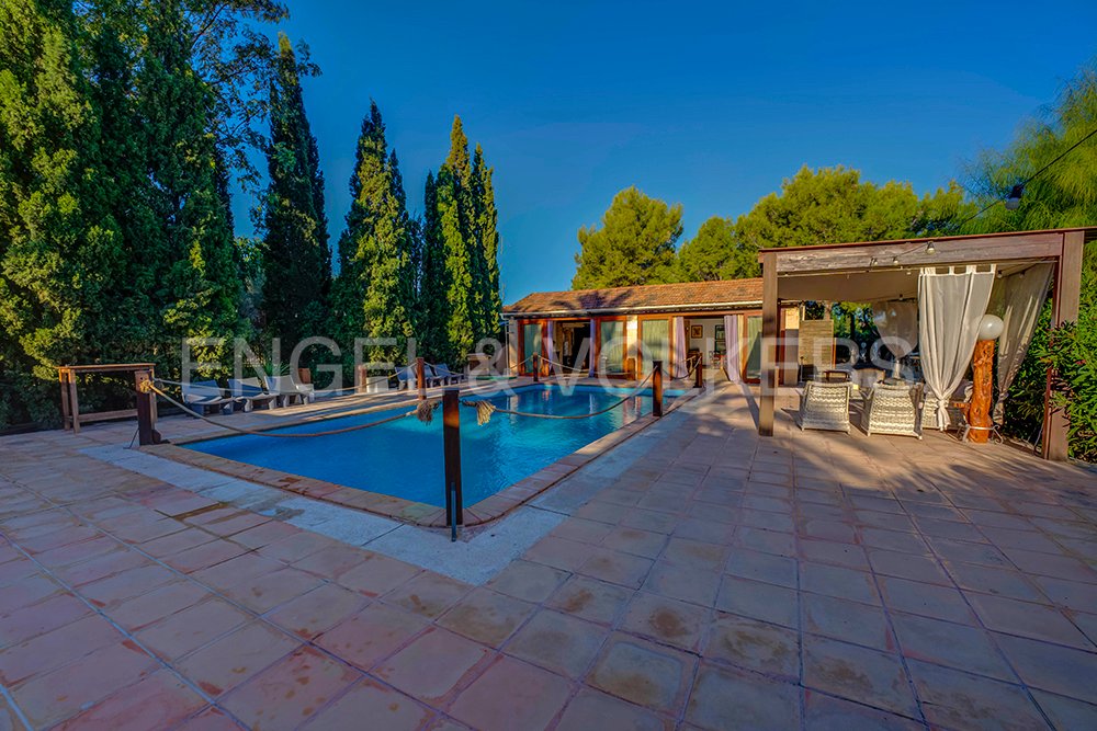 Villa in Elx / Elche, Valencian Community, Spain 5 - 17518744