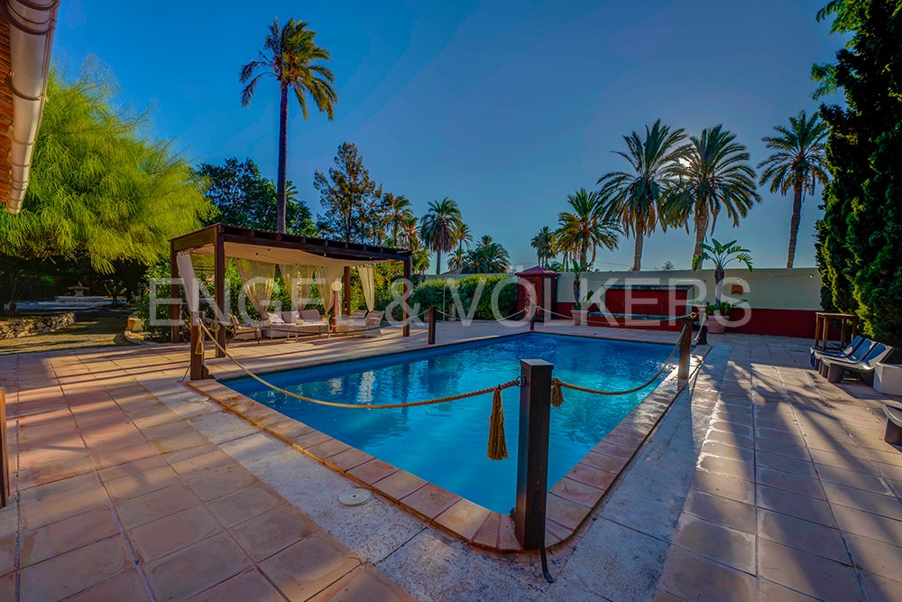 Villa in Elx / Elche, Valencian Community, Spain 1 - 17518744