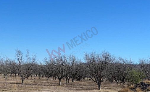 Land in Coyame, Chihuahua, Mexico 1