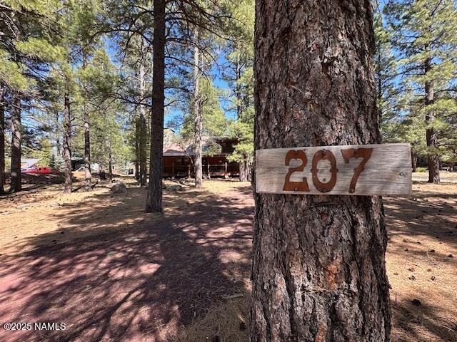 House in Mormon Lake, Arizona, United States 3 - 17518428