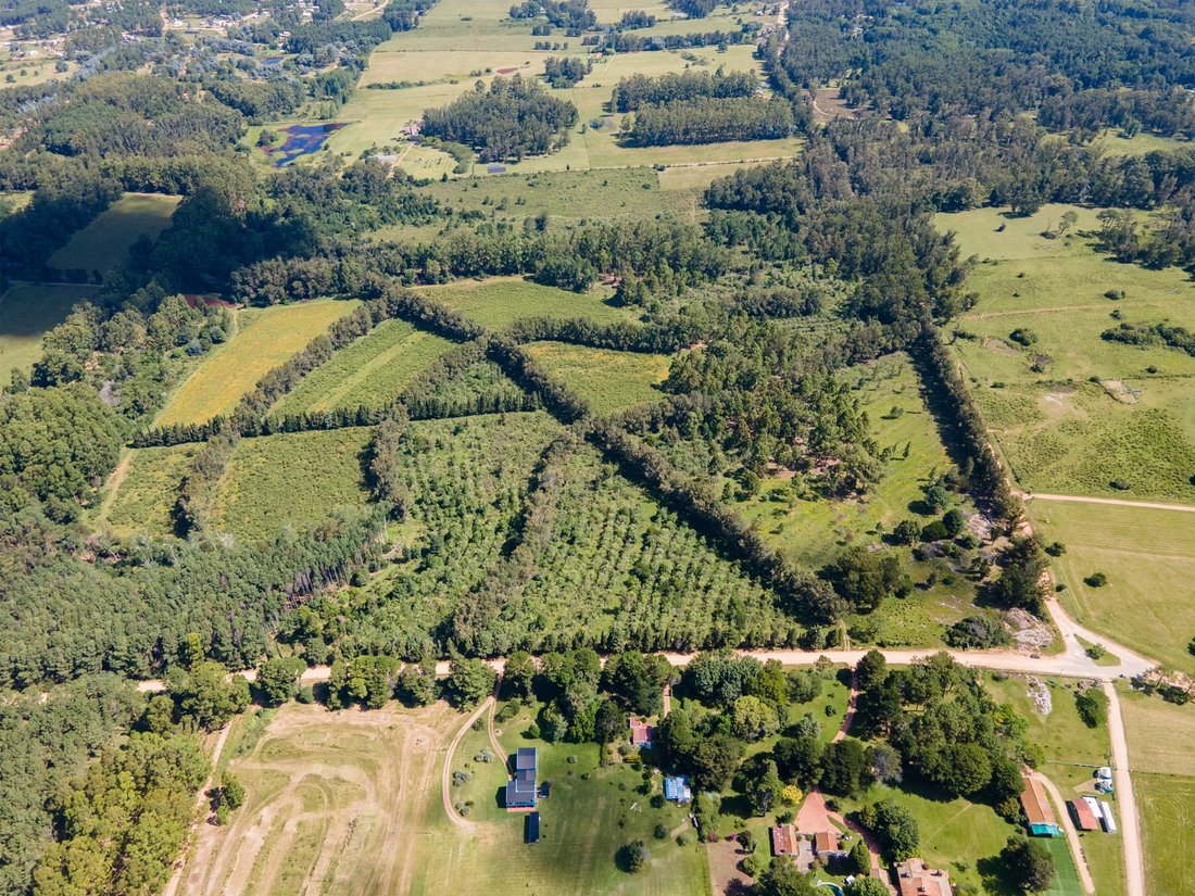 Rancho en Maldonado, Departamento de Maldonado, Uruguay 5 - 17518090