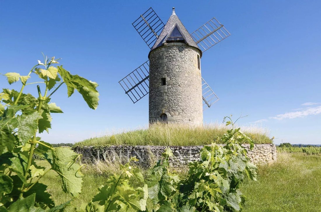 Castillo en Saint-Émilion, Nueva Aquitania, Francia 5 - 17518712