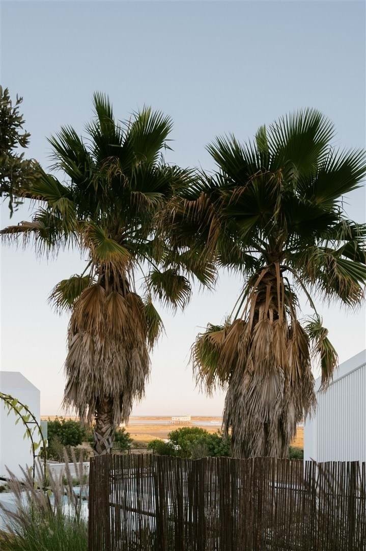 House in Olhao, Algarve, Portugal 4 - 17518400