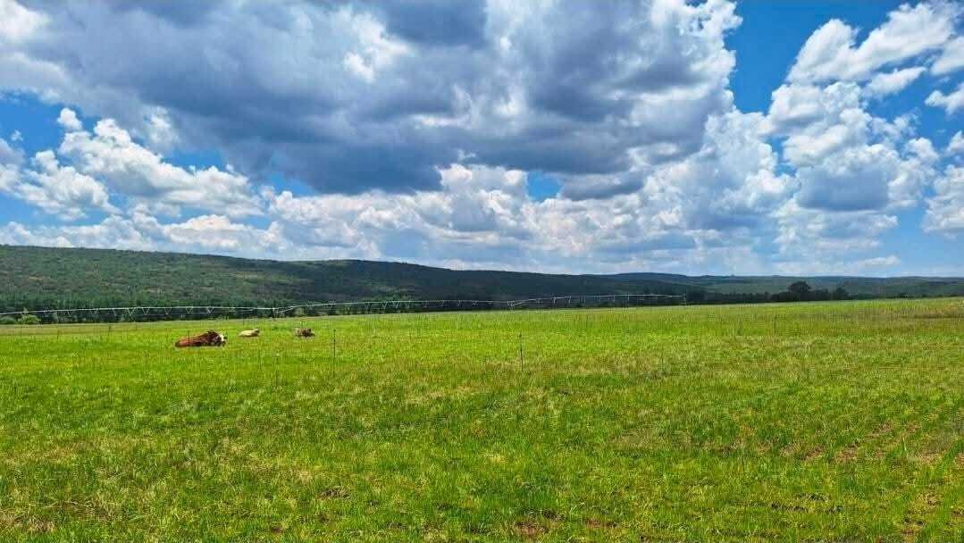Farm Ranch in Modimolle, Limpopo, South Africa 4 - 17522950