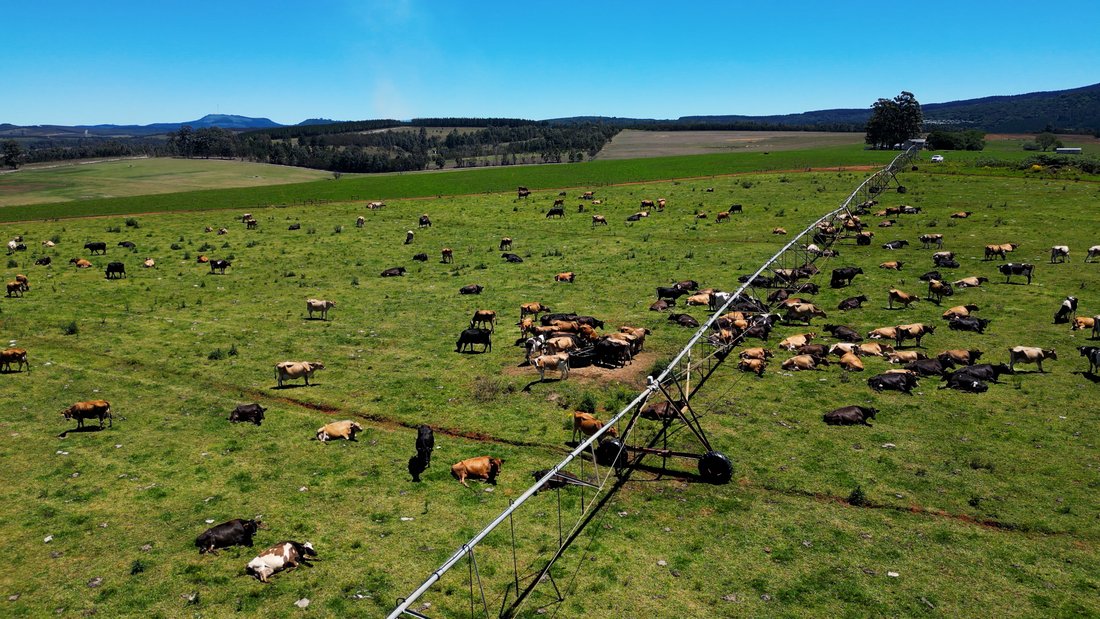 Farm Ranch in Stutterheim, Eastern Cape, South Africa 4 - 17522929